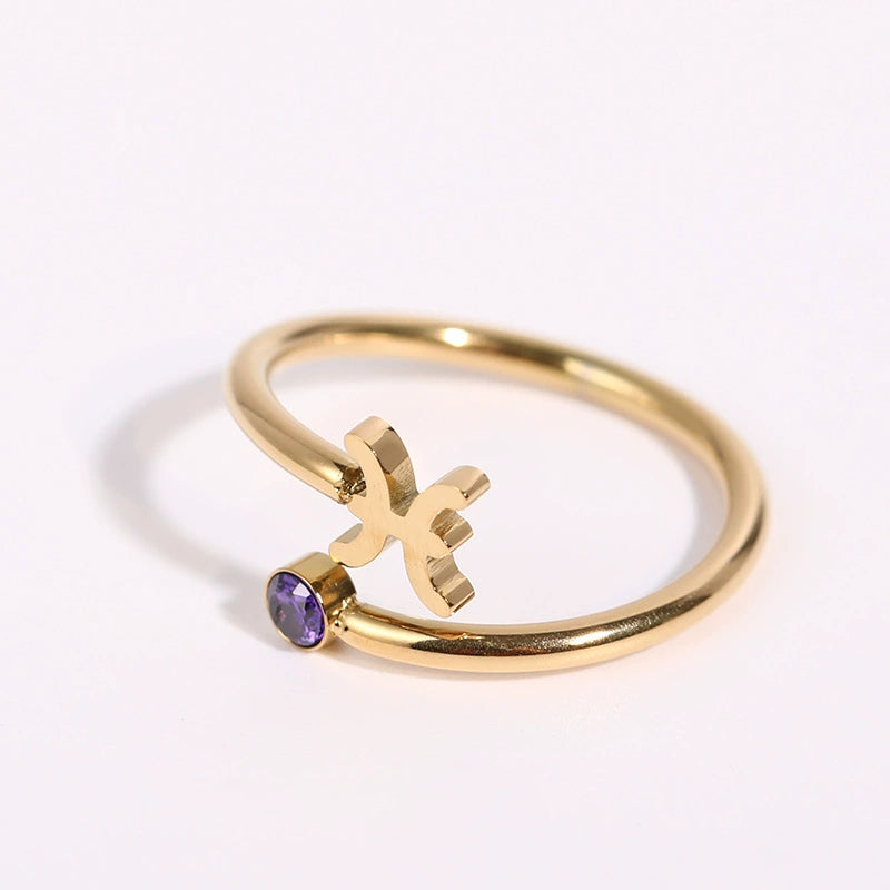 Rings Classic Zodiac Signs Ring with Cubic Zirconia Birth Stone