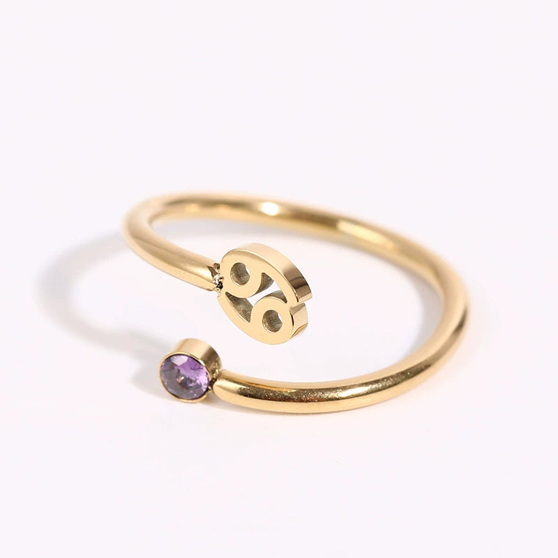 Rings Classic Zodiac Signs Ring with Cubic Zirconia Birth Stone