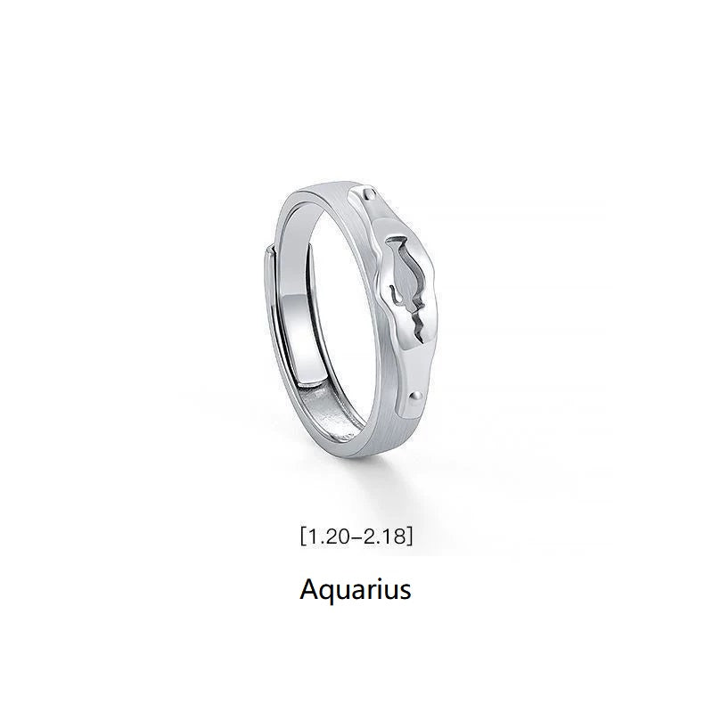 Rings Silver Plated Zodiac Signs Ring for Men Birthday Gift